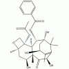 10-脫乙?；涂ǘ?III CAS 32981-86-5